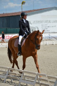 2014-7-drezura-zduchovice.jpg